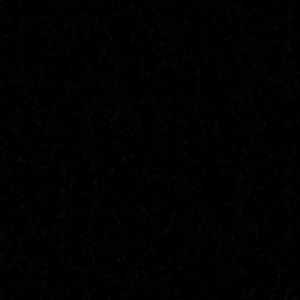 Meet your Posher, Bridgette